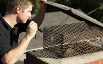 How Often Should You Have Your Chimney Inspected in Kansas?